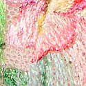 Chalk Rose