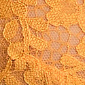 Signal Yellow