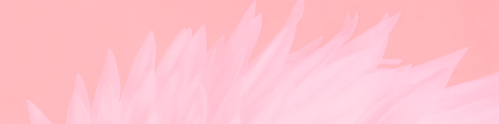 Limited-Edition Backstage Fashion Show Merch. Discover our exclusive collection of apparel, PJs, and beauty worn by the cast and crew of the Victorias Secret Fashion Show.