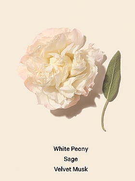 Bombshell Seduction Eau de Parfum Travel Spray