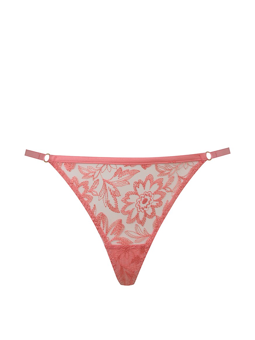 Columbia Road Thong Panty Myla vs