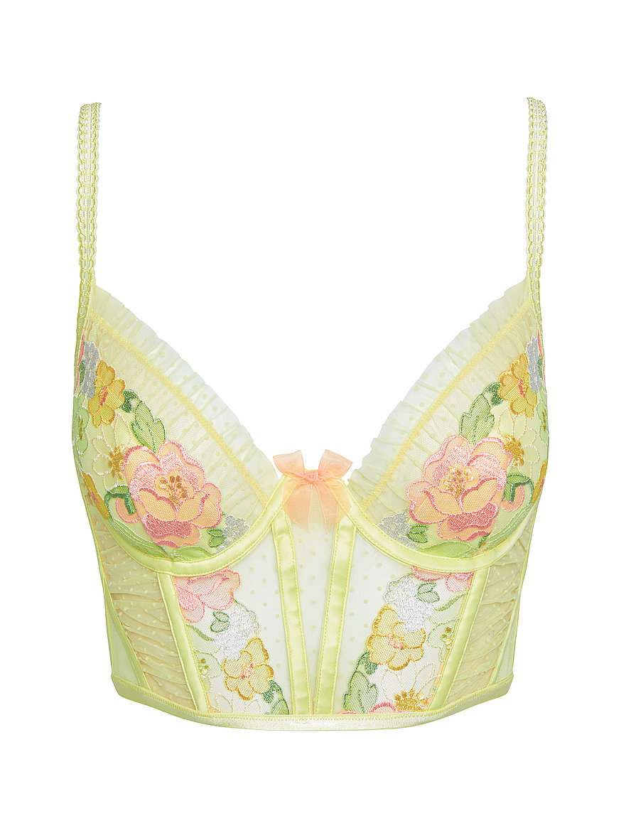 For Love and newest Lemons Luella Bustier!