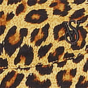 Safari Gold Leopard