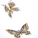 White Butterfly Print