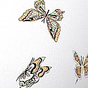 White Butterfly Print