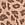 Print Logo Cotton Boyshort Panty