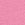 Pink Exploded Logo Cotton Hiphugger Panty