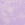 Purple Seamless Bikini Panty