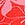 Print Seamless Bikini Panty
