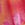 Floral PINK Wink™ Ruffle Cheeky Panty