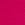 Pink Exploded Logo Cotton Thong Panty